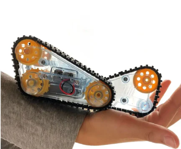 타미아 삼륜삼엽초